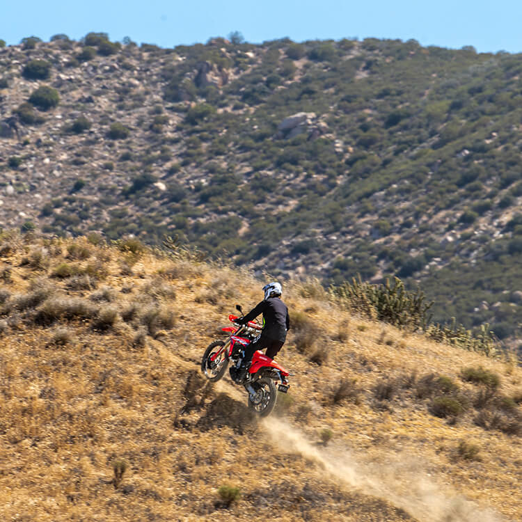 Gallery - CRF450RL 2