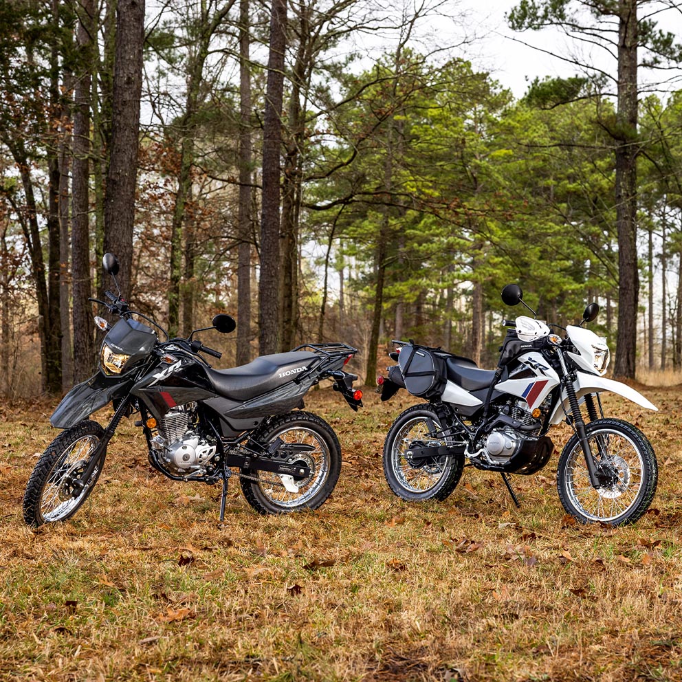 XR650L-inspired styling