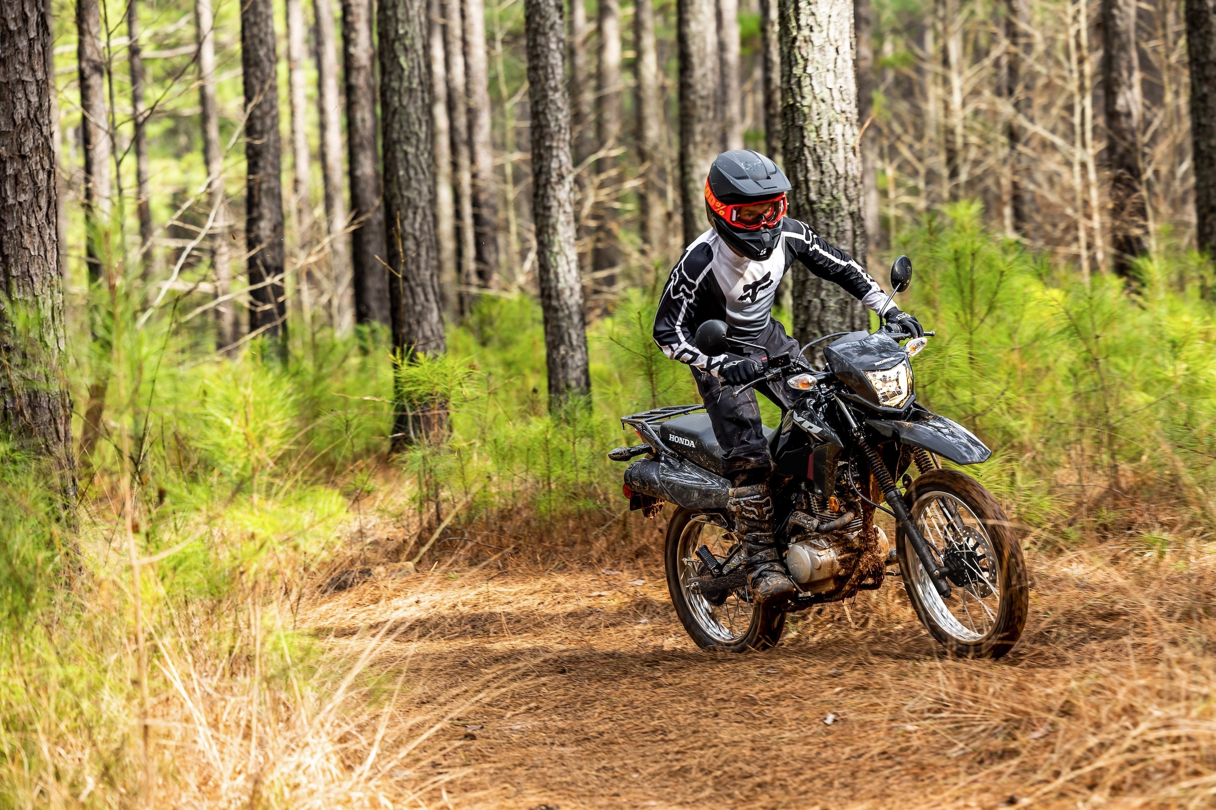 2025-XR150L-2025-XR150L-Gallery-07-2560xauto-2560x1708