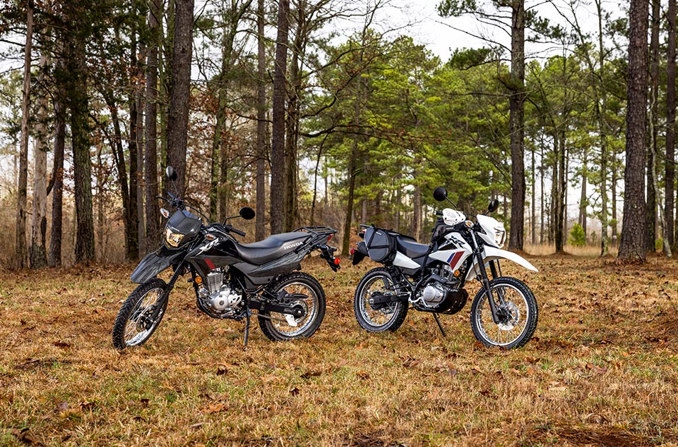 2025-XR150L-2025-XR150L-Gallery-04-960x634-960x634