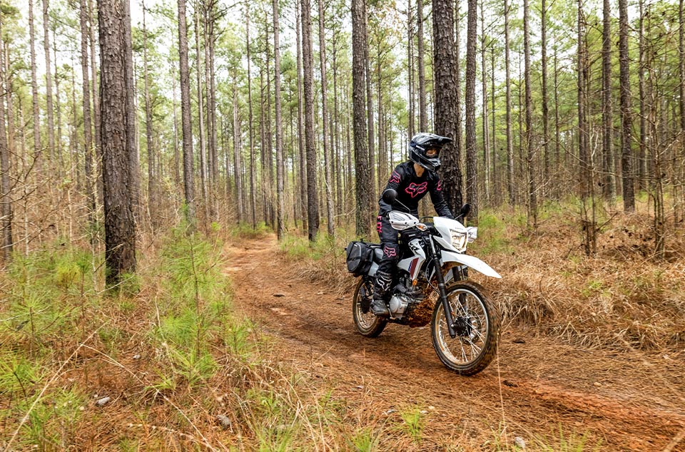 2025-XR150L-2025-XR150L-Gallery-05-960x634-960x634