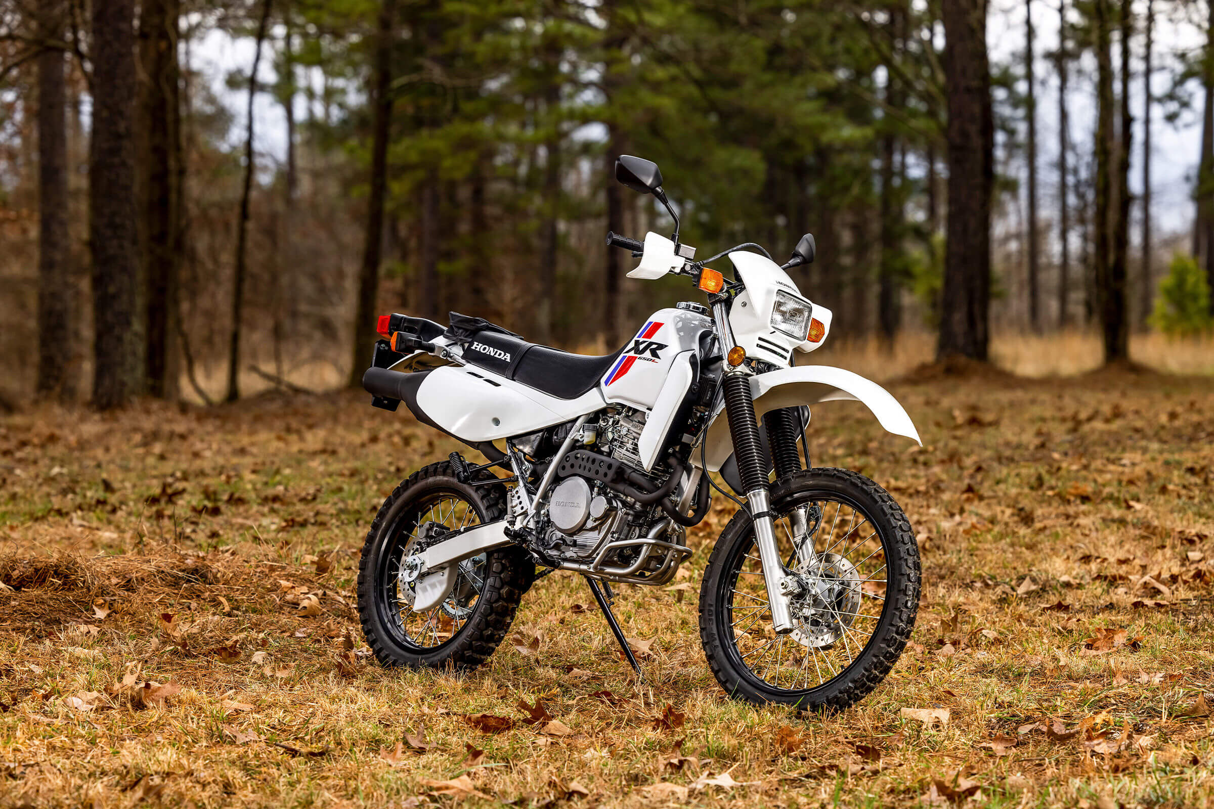 2025-XR650L-gallery-01-2400x1600