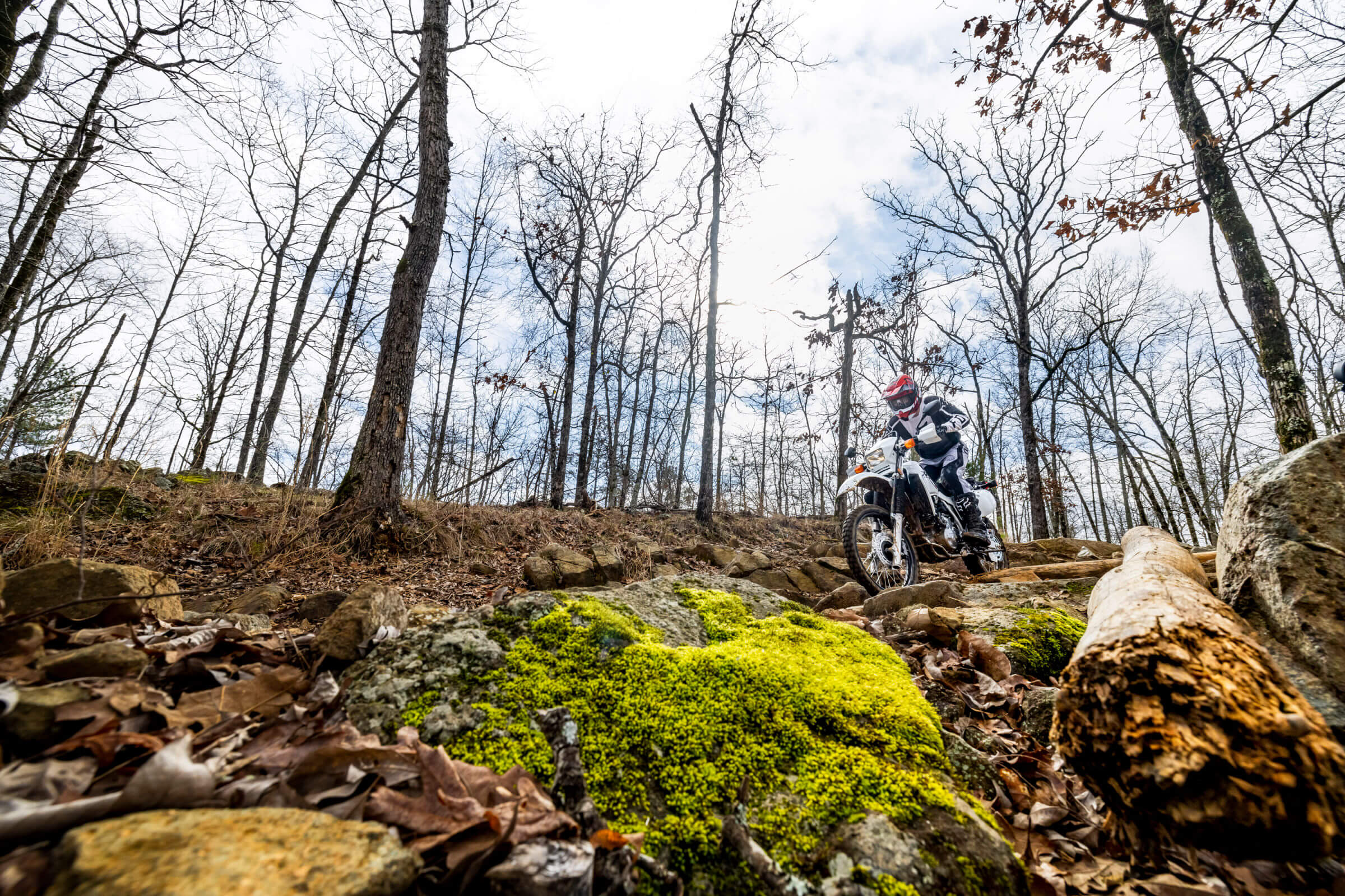2025-XR650L-gallery-04-2400x1600