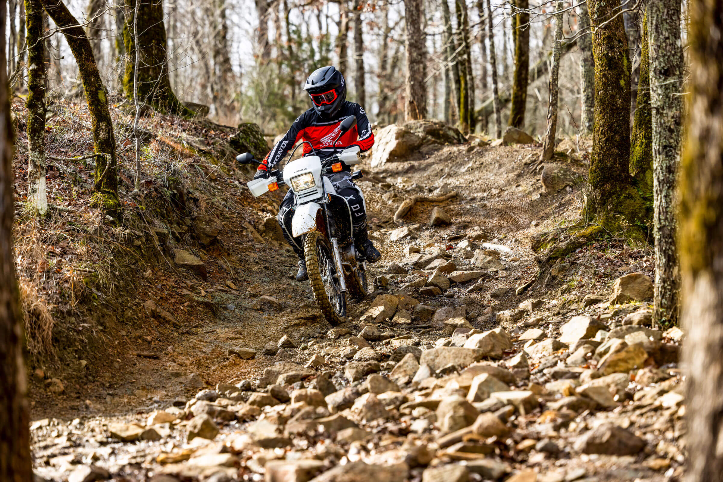 2025-XR650L-gallery-07-2400x1600
