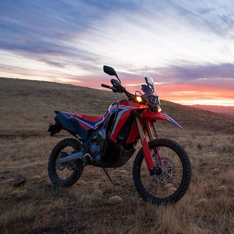 Gallery - CRF300L Rally 0
