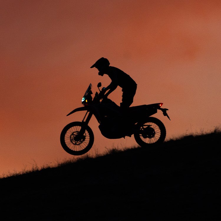 Gallery - CRF300L Rally 4
