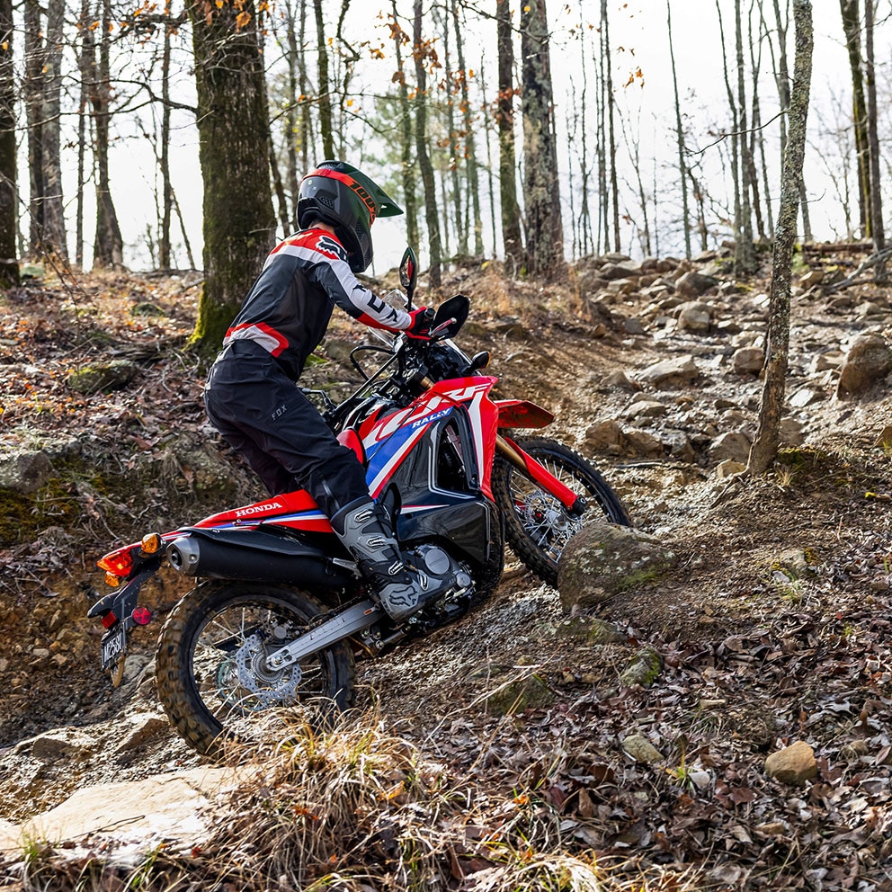 Pro-Link® rear suspension