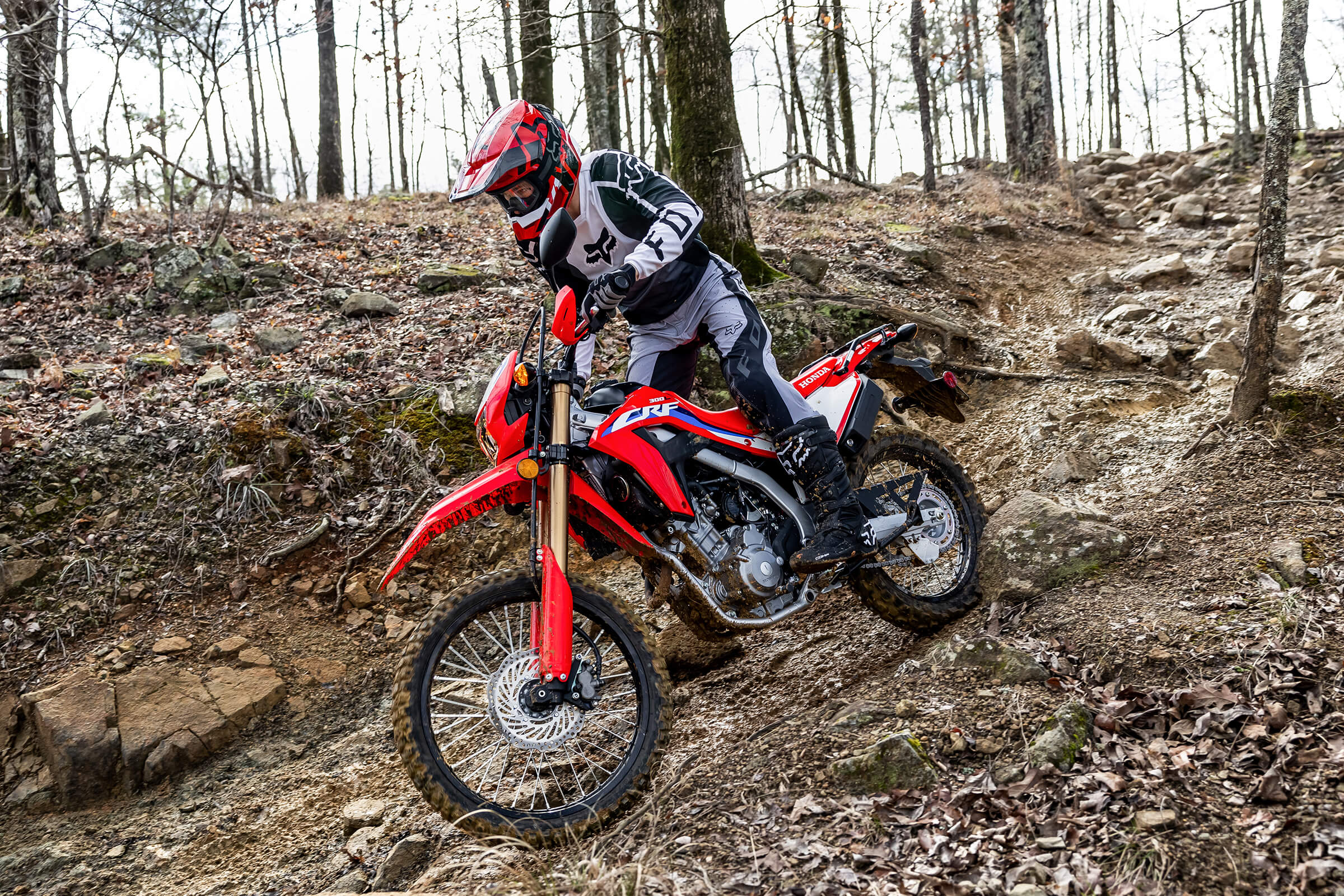 CRF300L - Dual-Sport Motorcycle - Honda