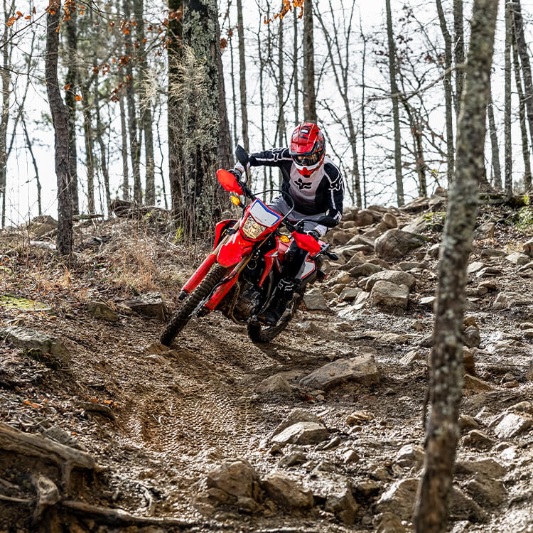 CRF300L - Dual-Sport Motorcycle - Honda