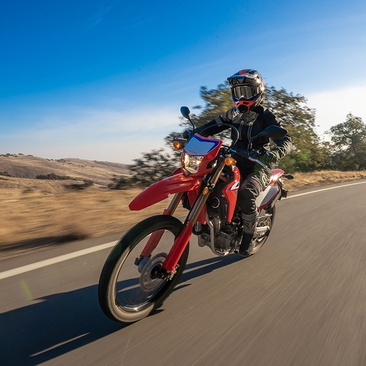 Gallery - CRF300L 0