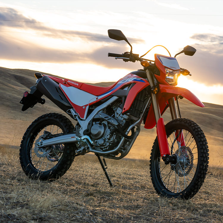 Gallery - CRF300L 2