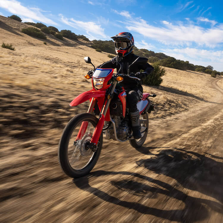 Gallery - CRF300L 3