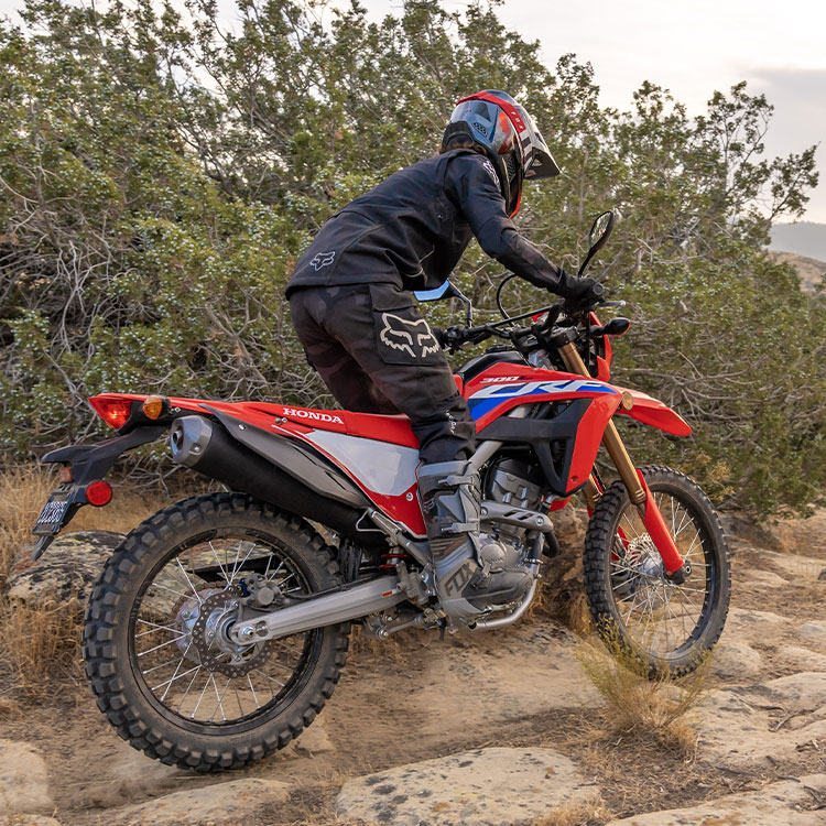 Gallery - CRF300L 4