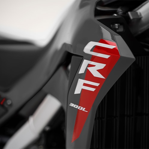 CRF/R-inspired bodywork 