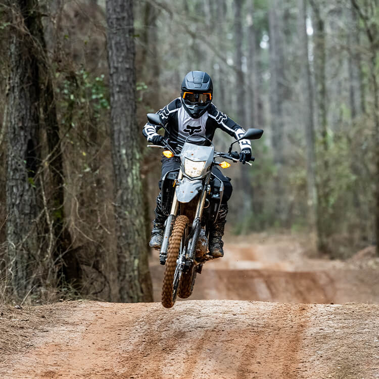CRF300LS Dual Sport Motorcycle Honda
