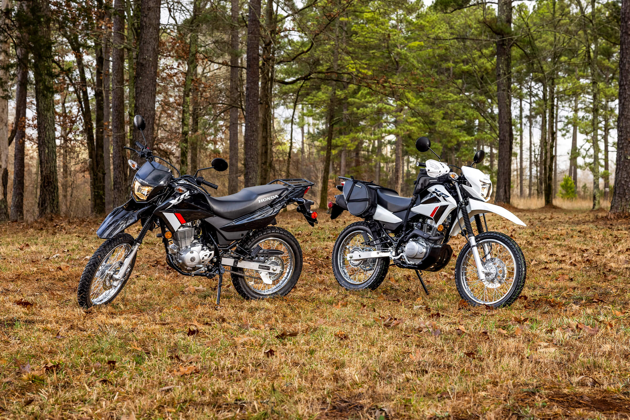 XR150L Dual Purpose Motorcycle Honda