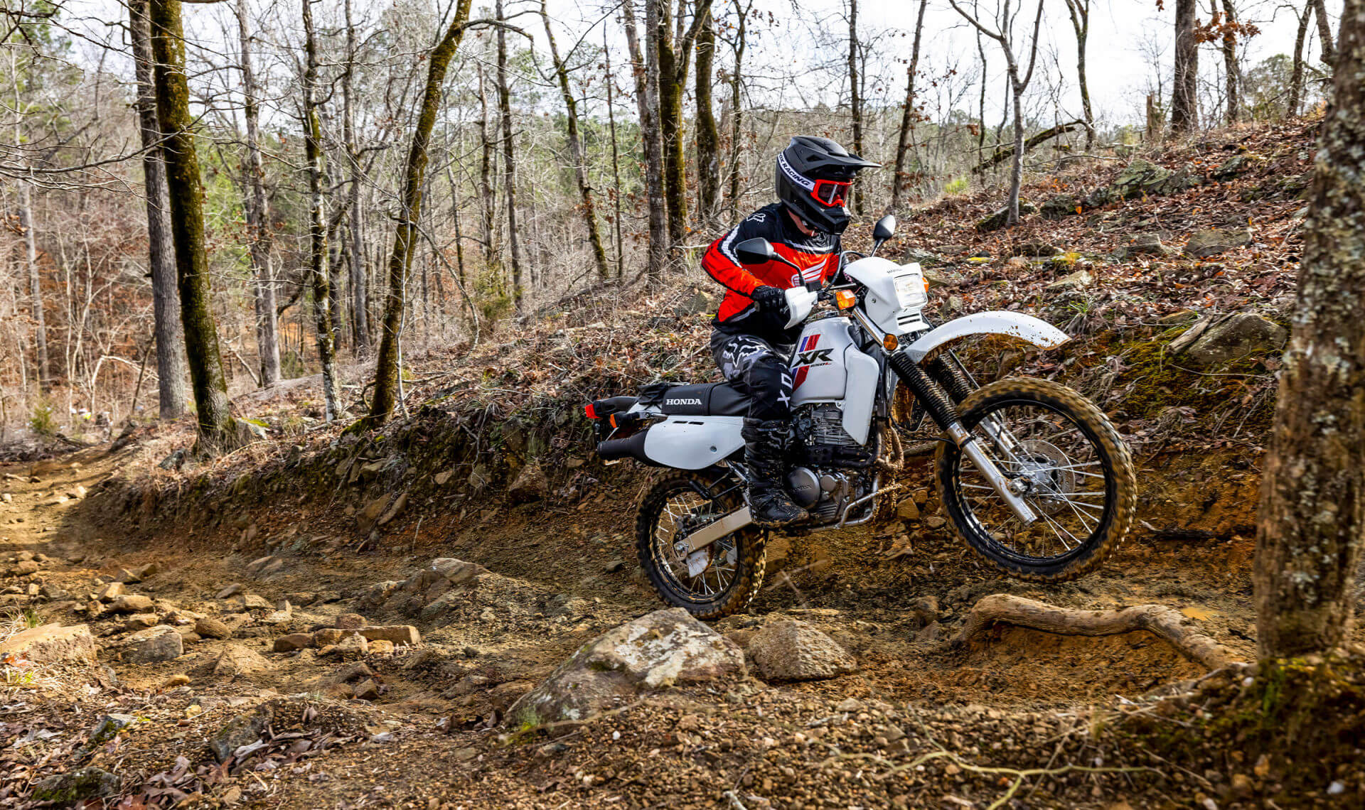 Honda 650 enduro for sale cheap