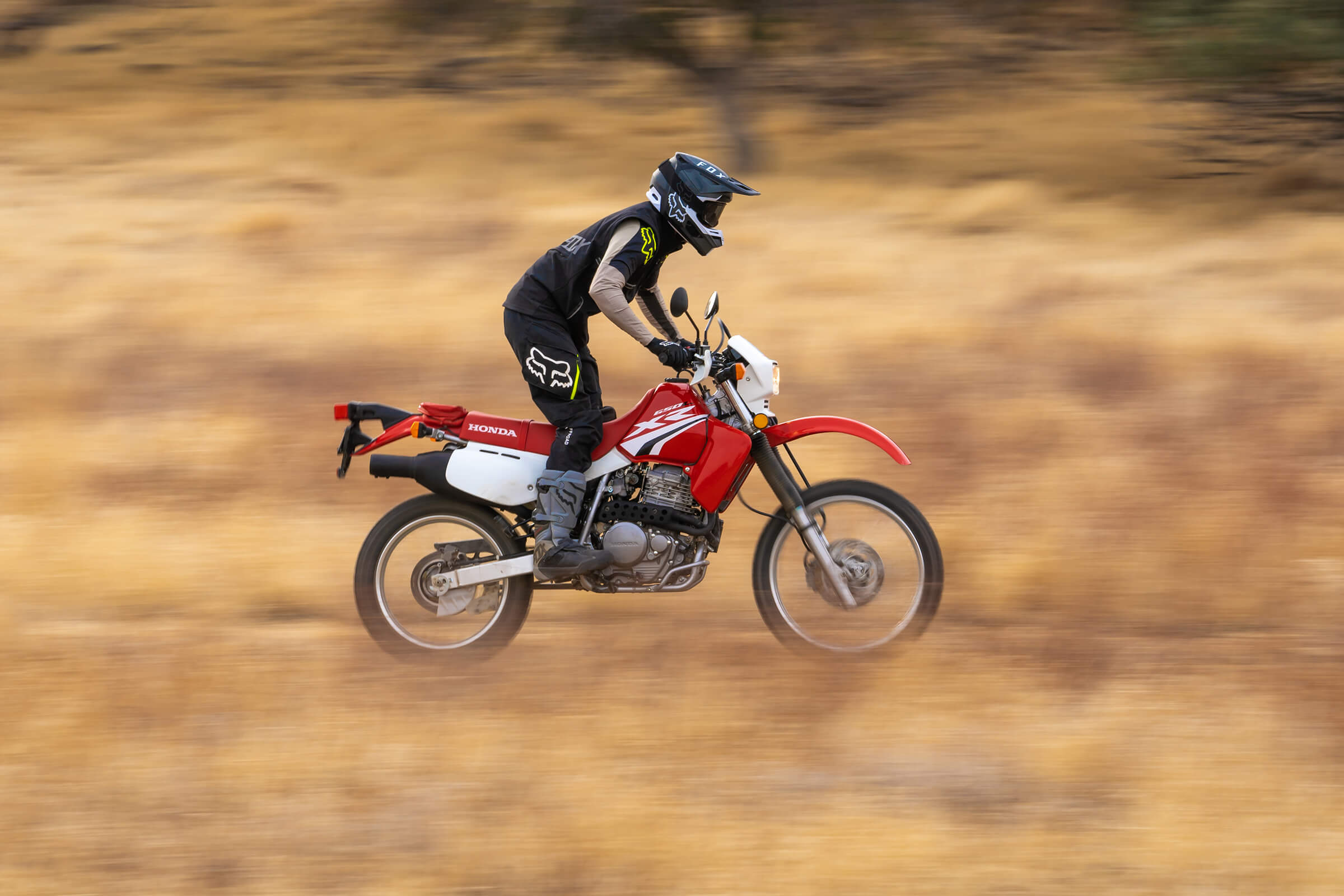 XR650L DualSport Motorcycle Honda