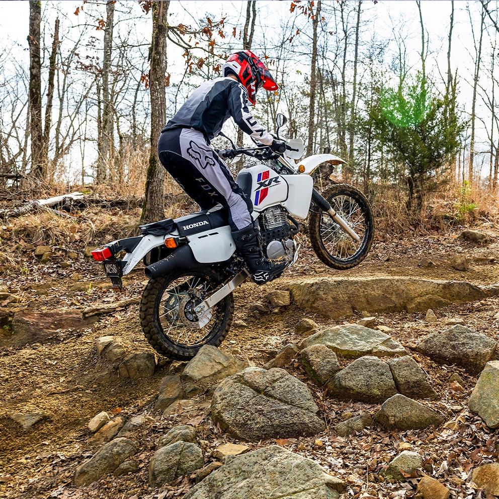 Pro-Link® rear suspension