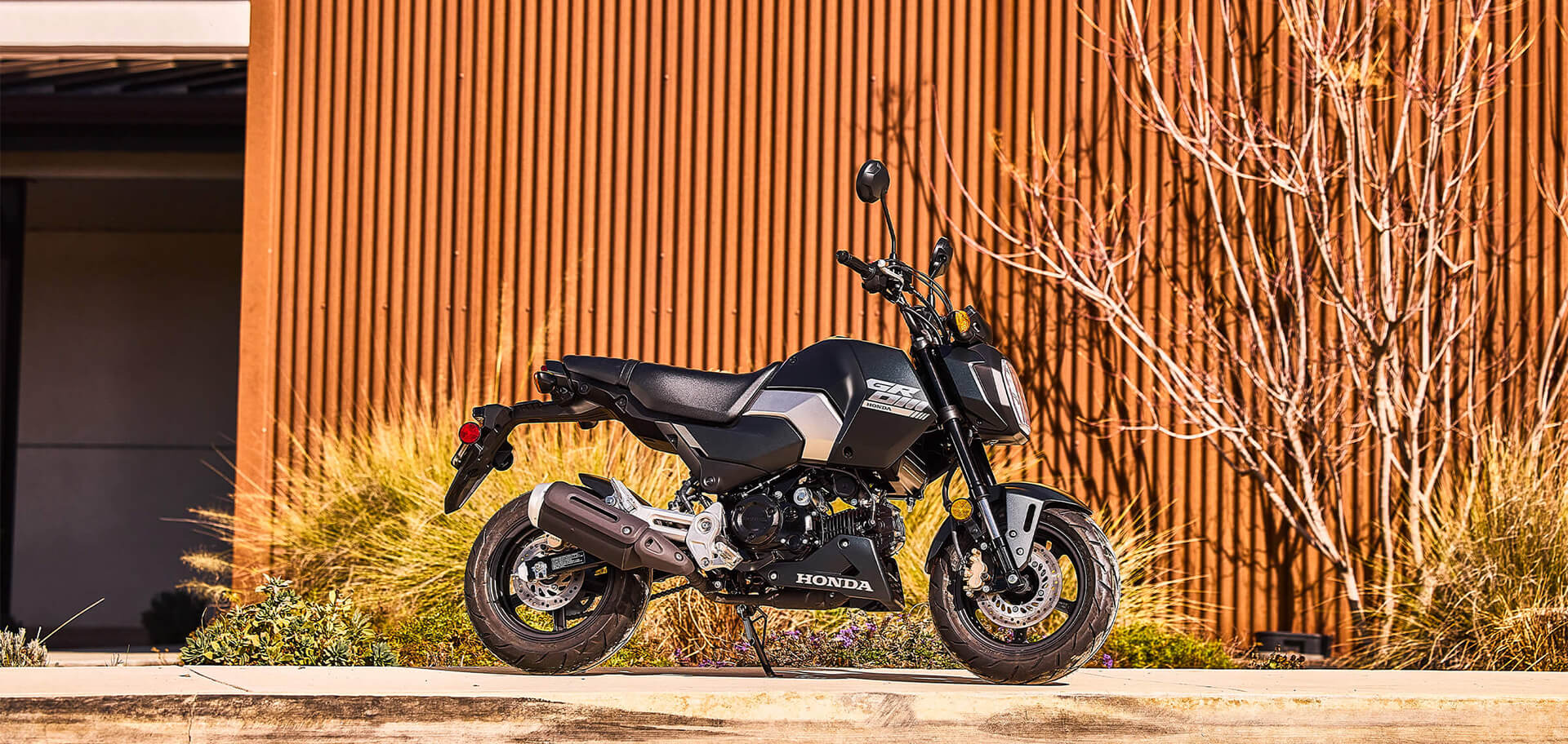 Honda grom brand new price sale