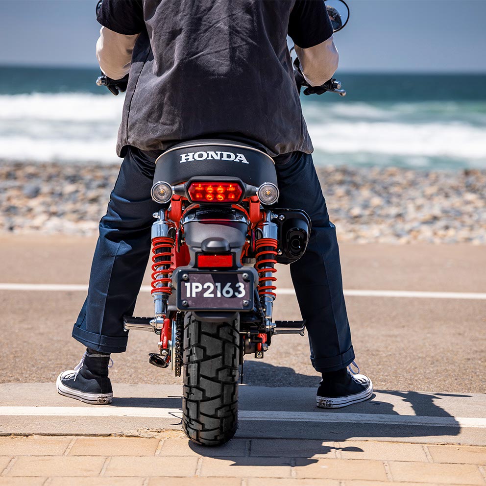 LED taillight