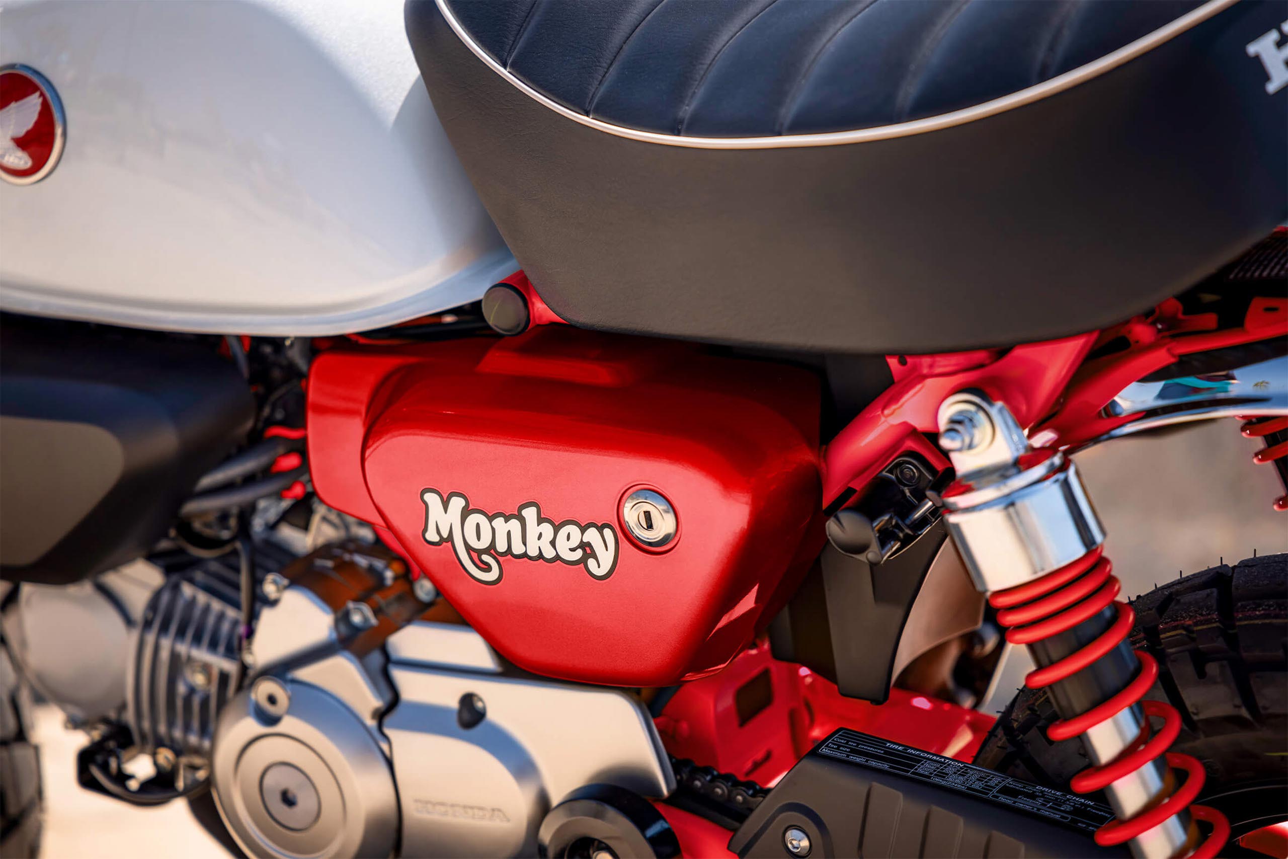 2025-monkey-gallery-05