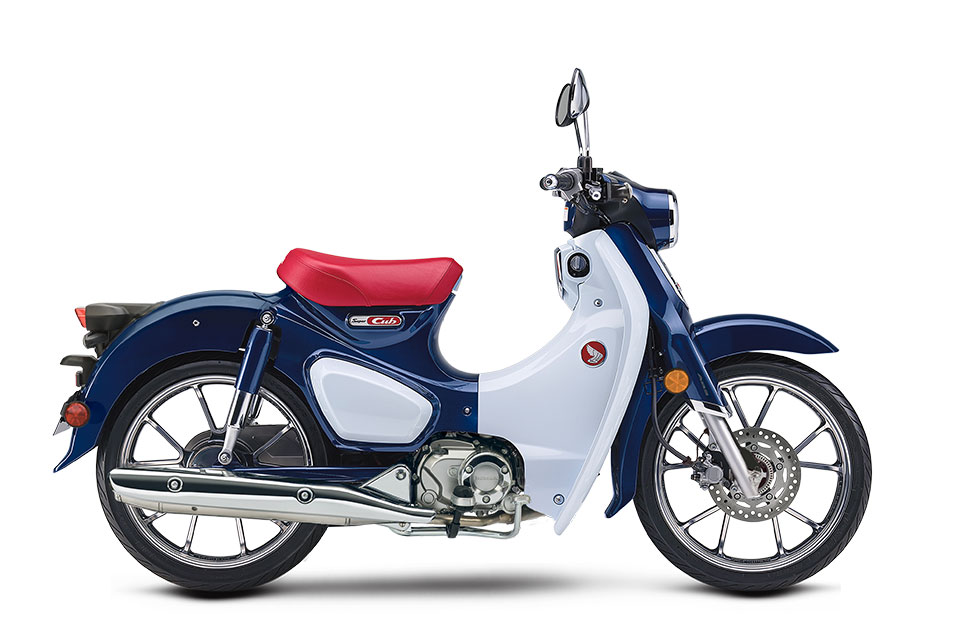 Honda super cub 50 cheap