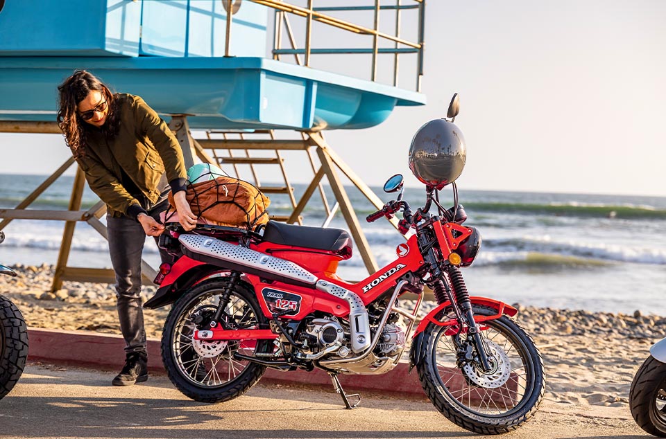 Honda trail cub sale