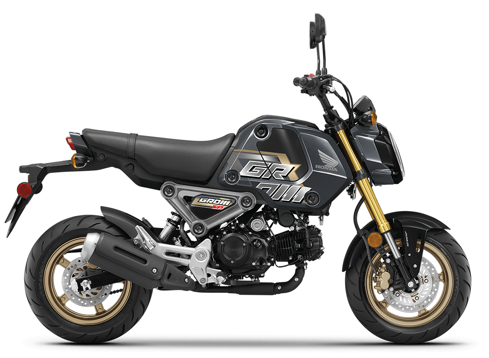 Big grom new arrivals