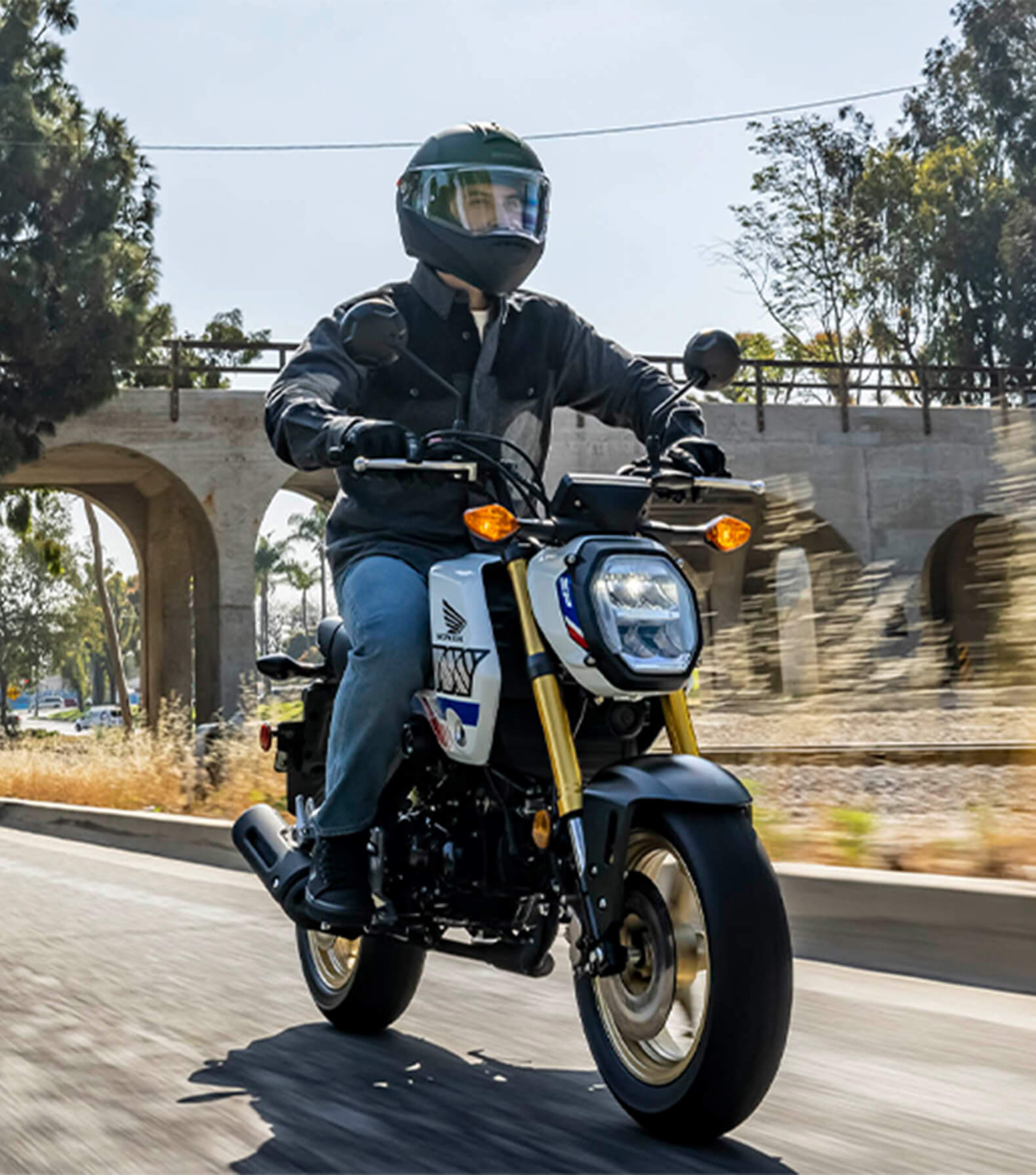 2024 Honda Grom Minimoto Honda Powersports