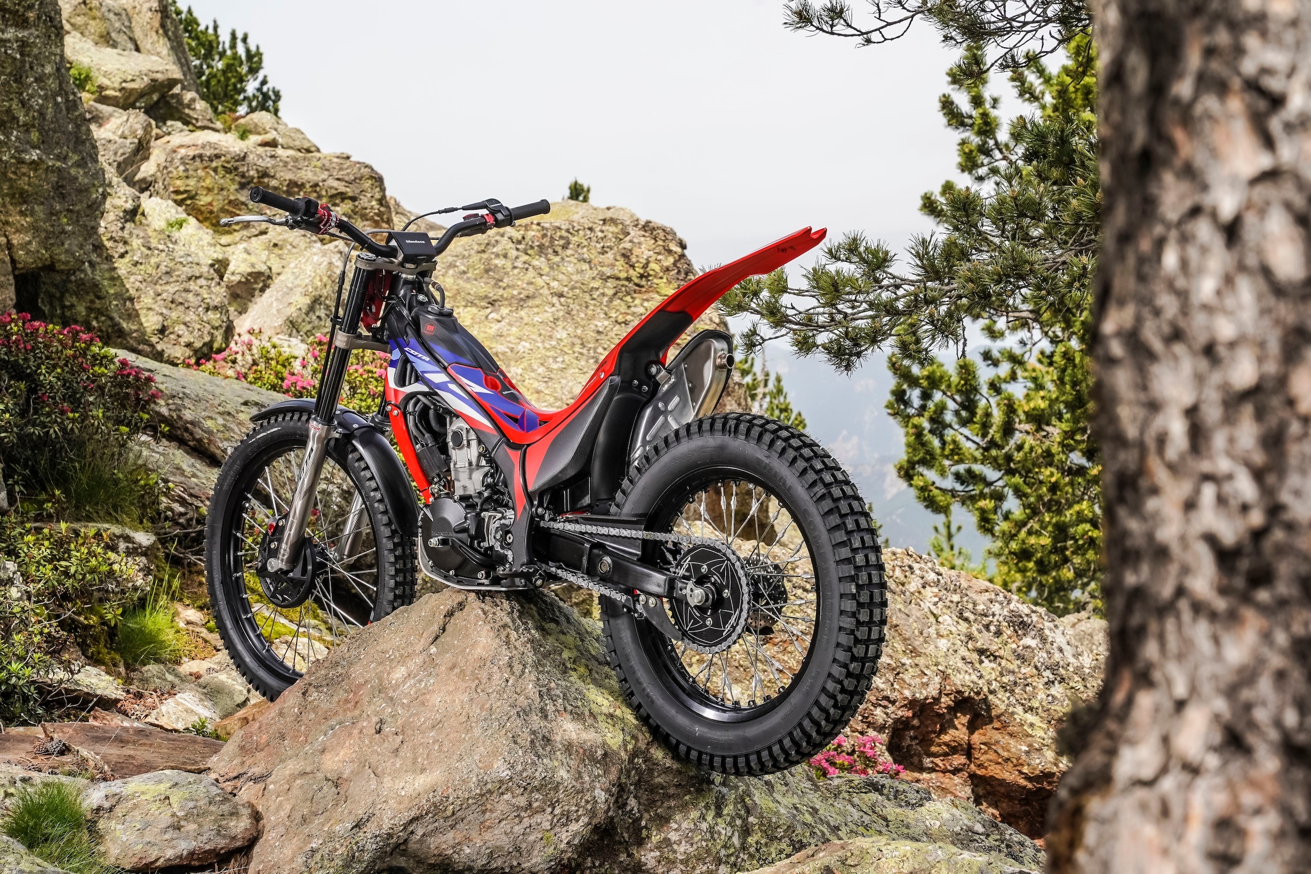 2025-Montesa-Cota-301RR-gallery-05-2560x1707