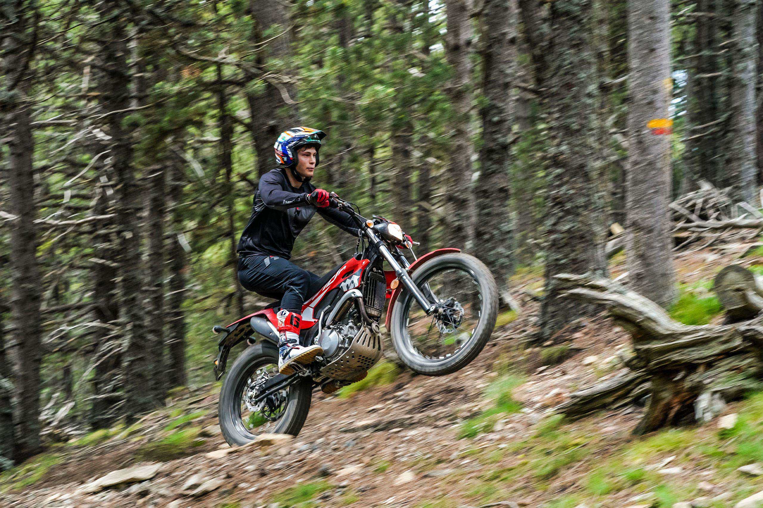 2025-Montesa-Cota-4RT-260R-gallery-06