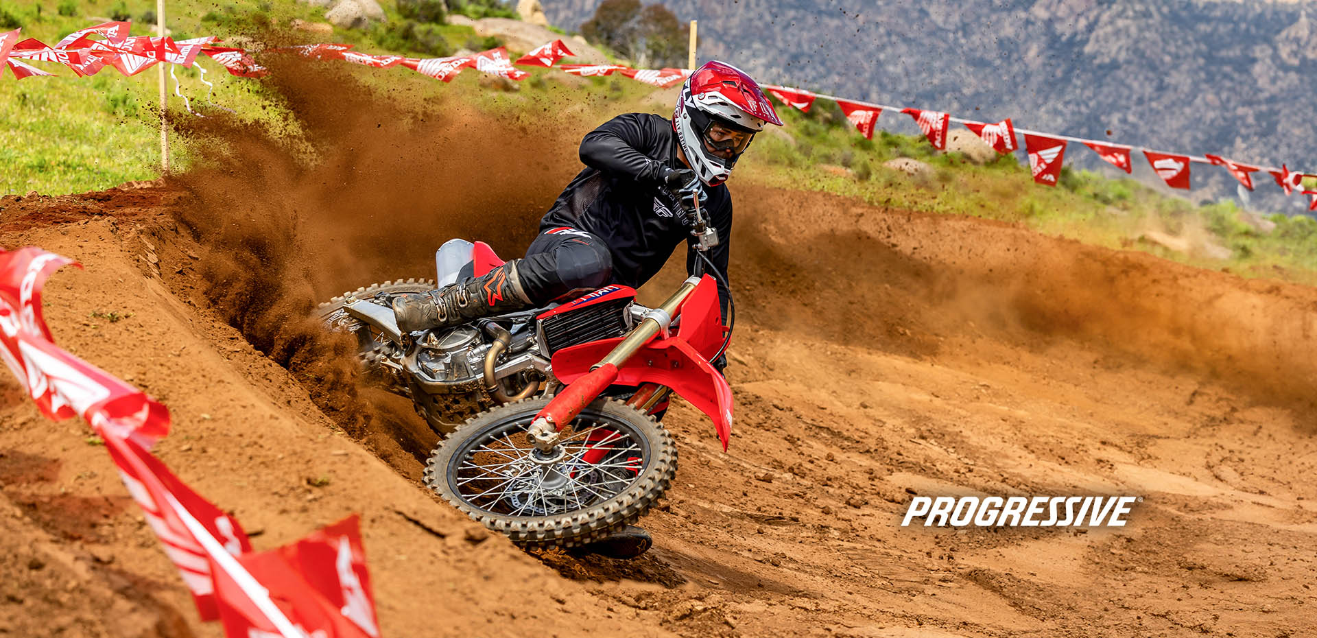 CRF250R 250cc Dirt Bike Honda