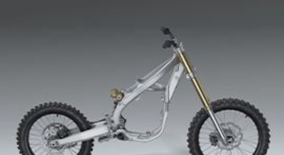Showa® spring fork