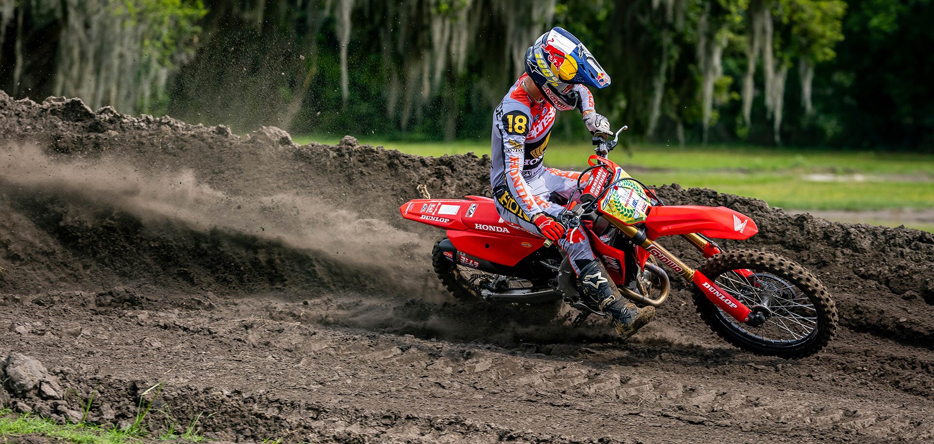 CRF450R Share gallery image 9