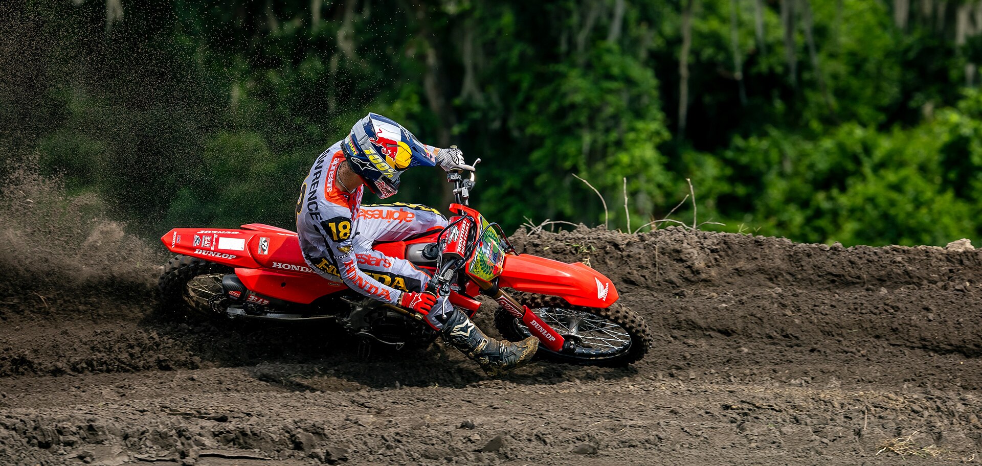 CRF450R Share gallery image 19