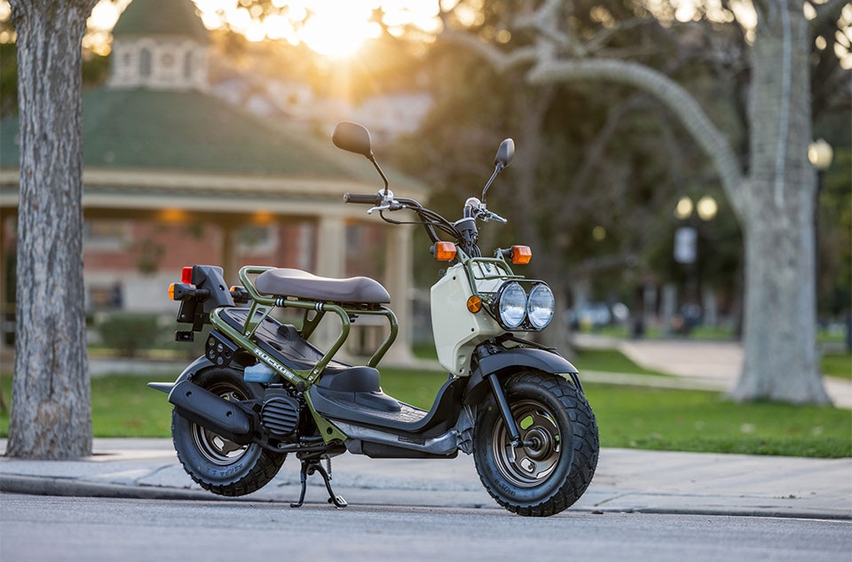 Ruckus Urban Motorcycle Pit Bike Honda