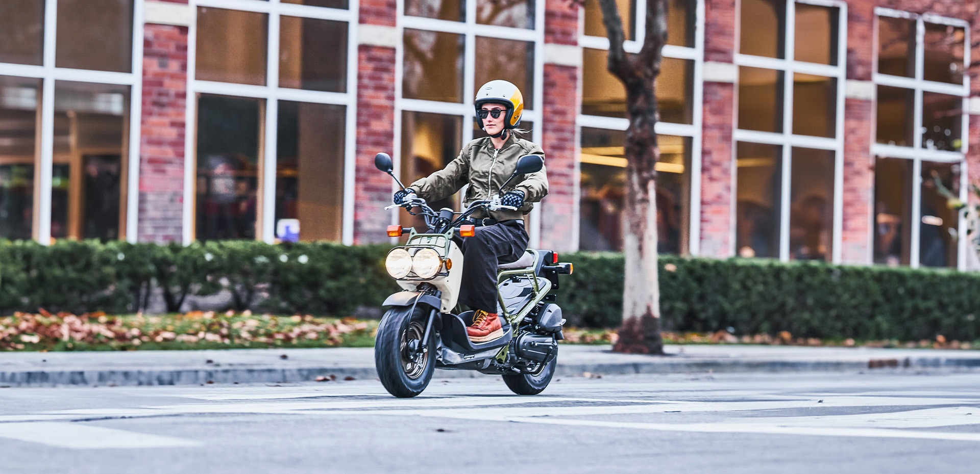 Ruckus dirt bike shop