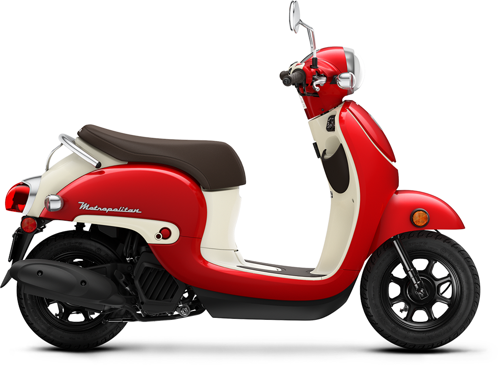 Programmed Fuel Injection (PGM-FI)