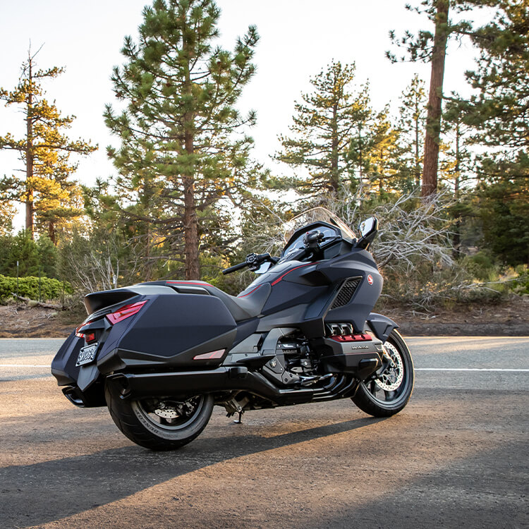 Gallery - Gold Wing Automatic DCT 5