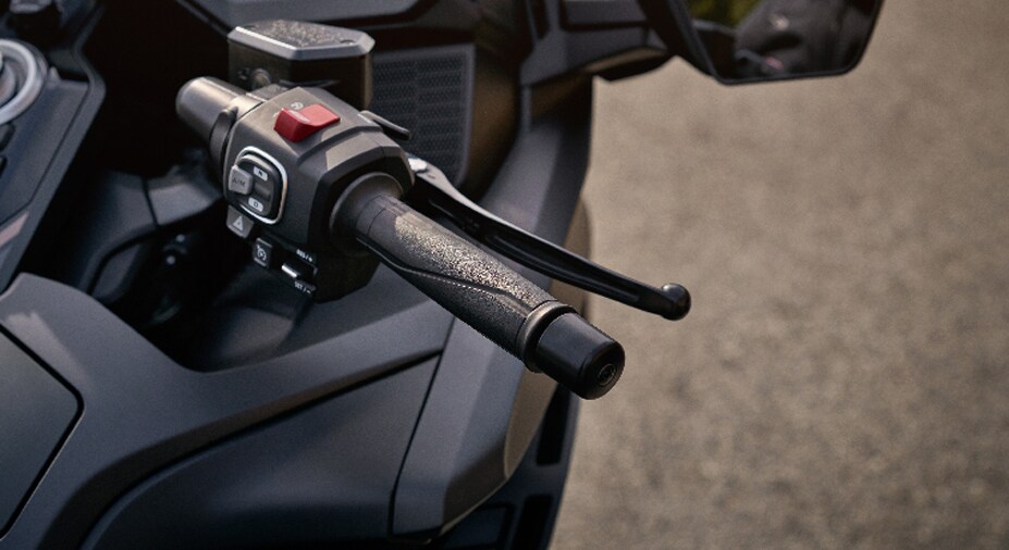 Heated grips