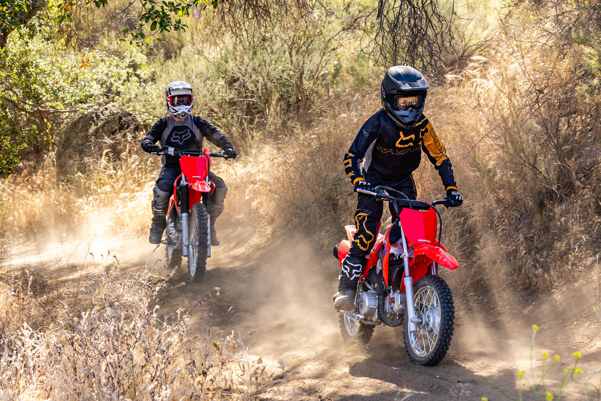 2025-crf110f-gallery-05