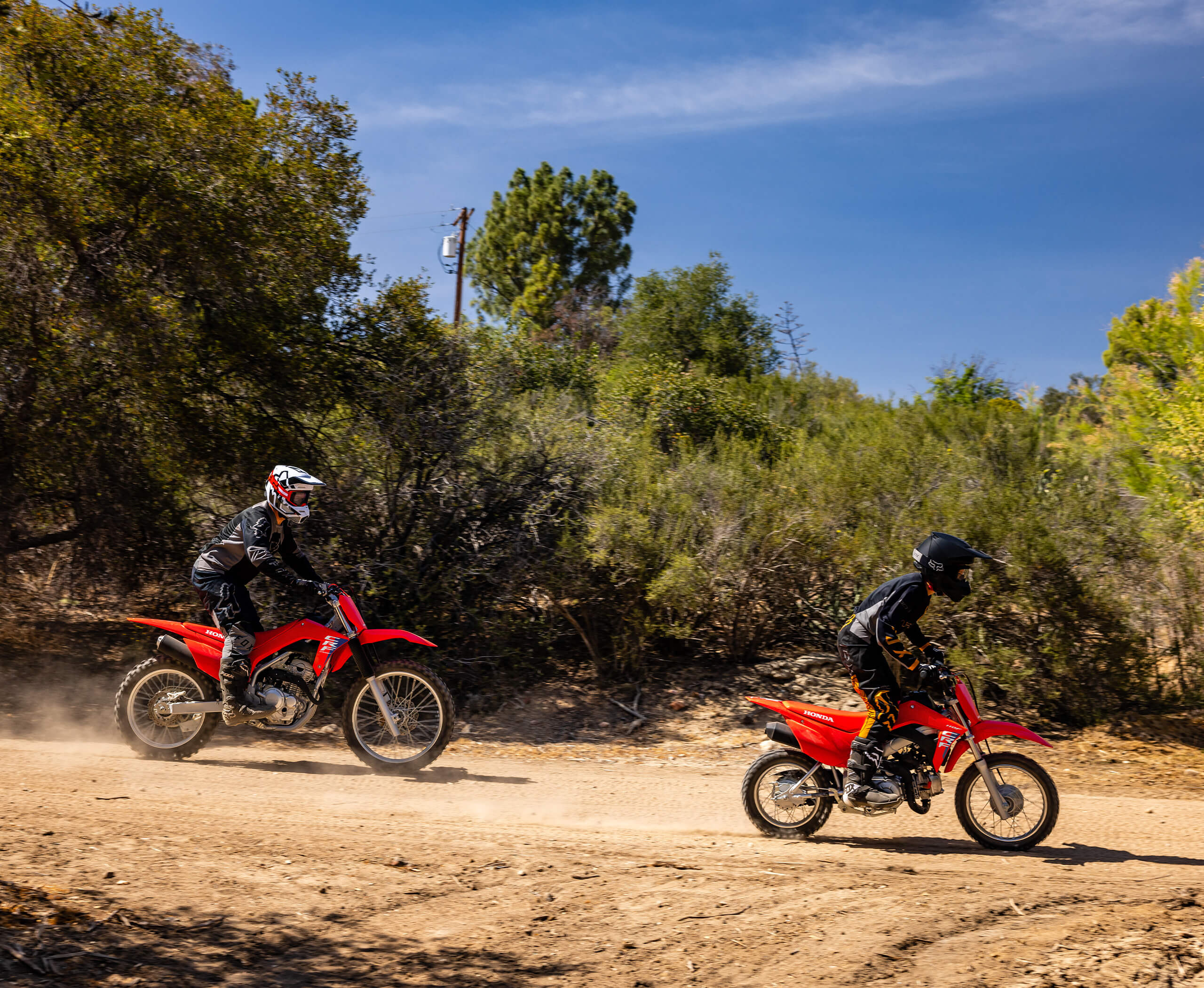 2026-CRF110F-gallery-02