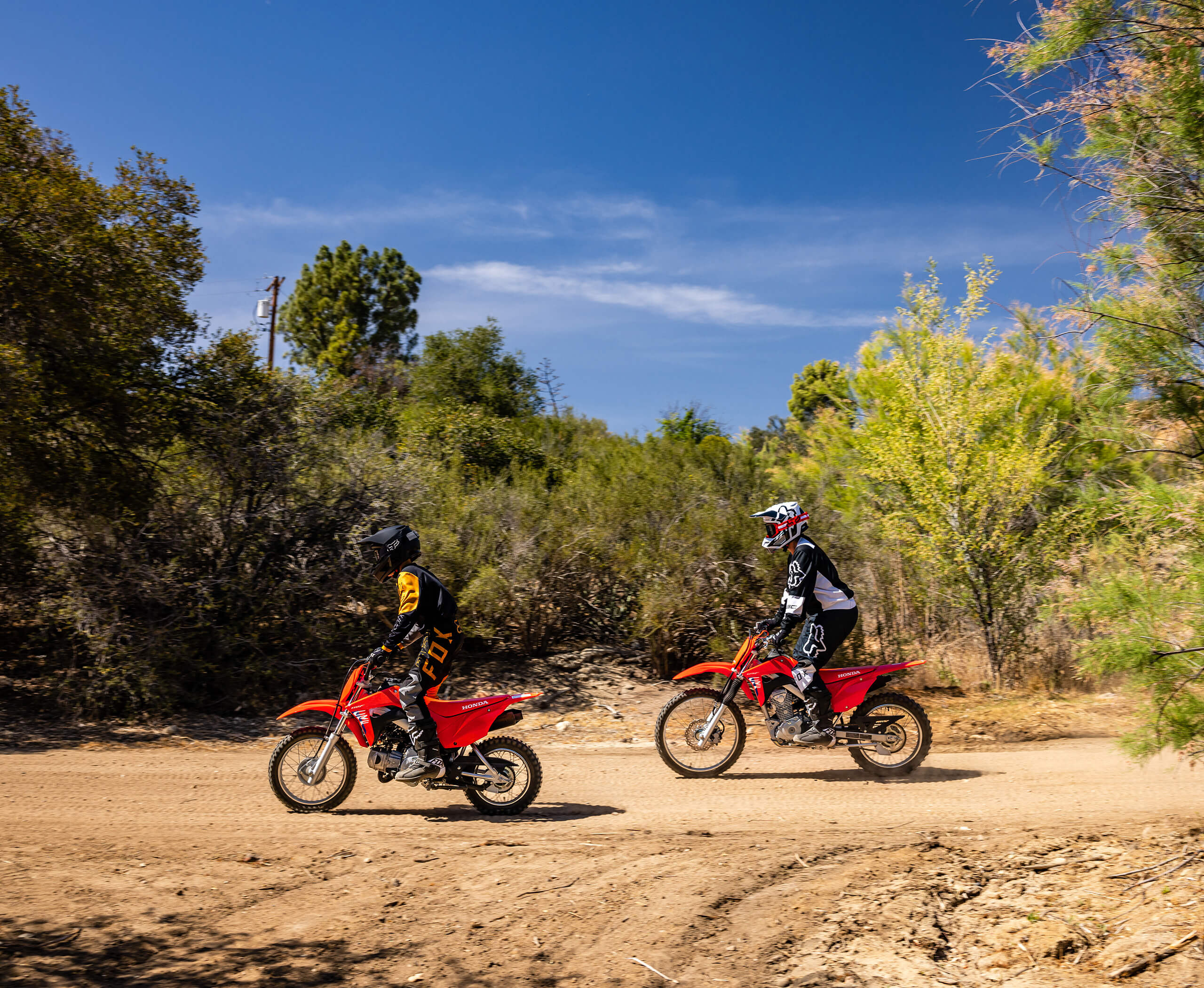2026-CRF110F-gallery-05
