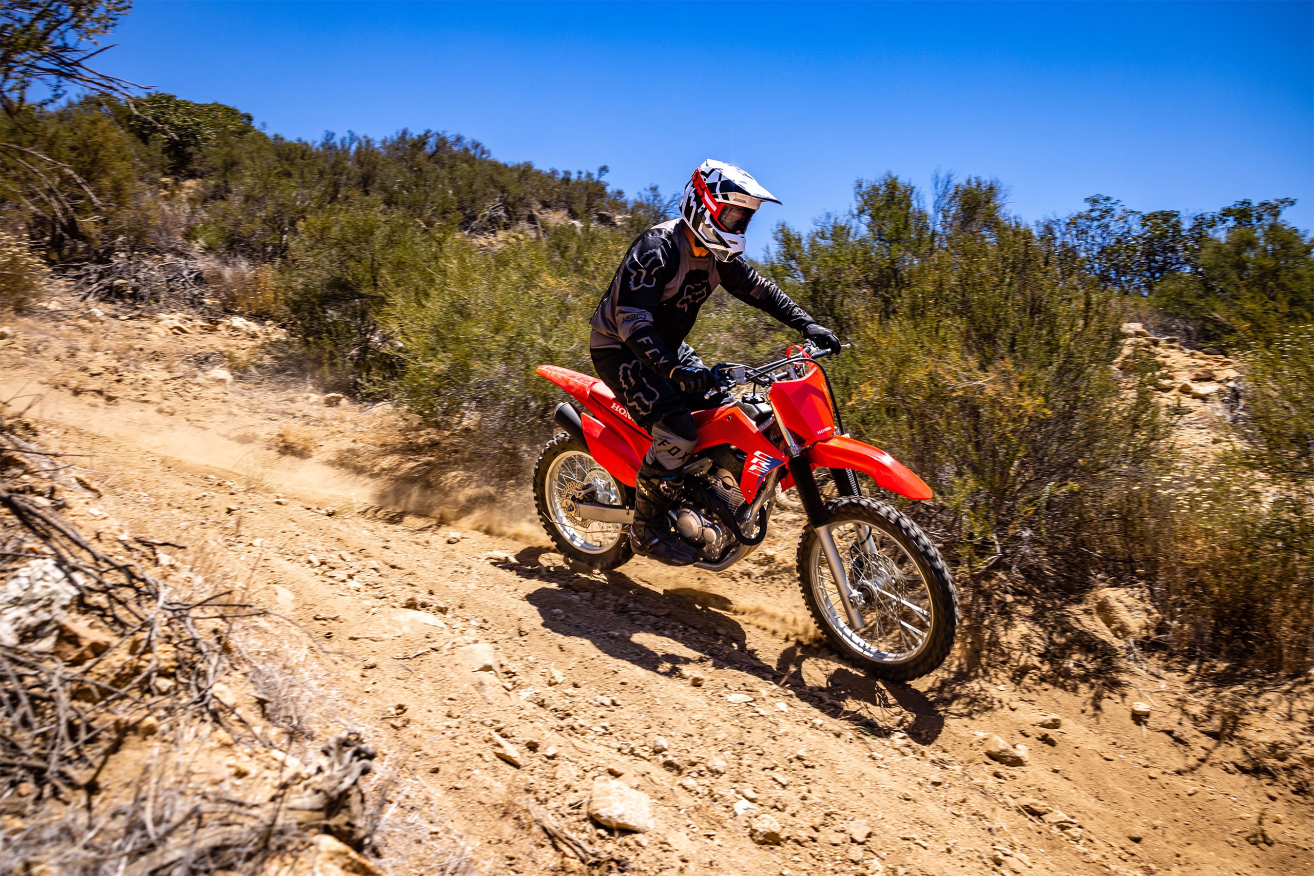 2025-crf250f-gallery-06-2560x1707