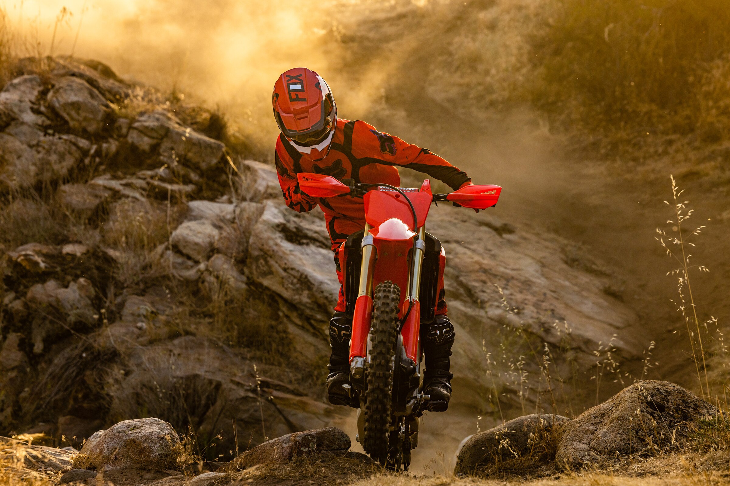 CRF250RX Enduro Spec Honda