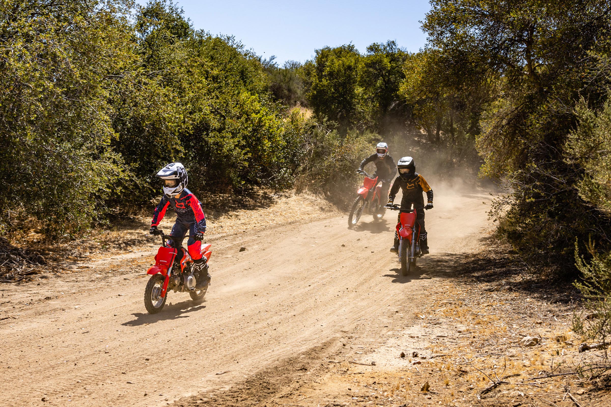 2025-crf50f-gallery-03