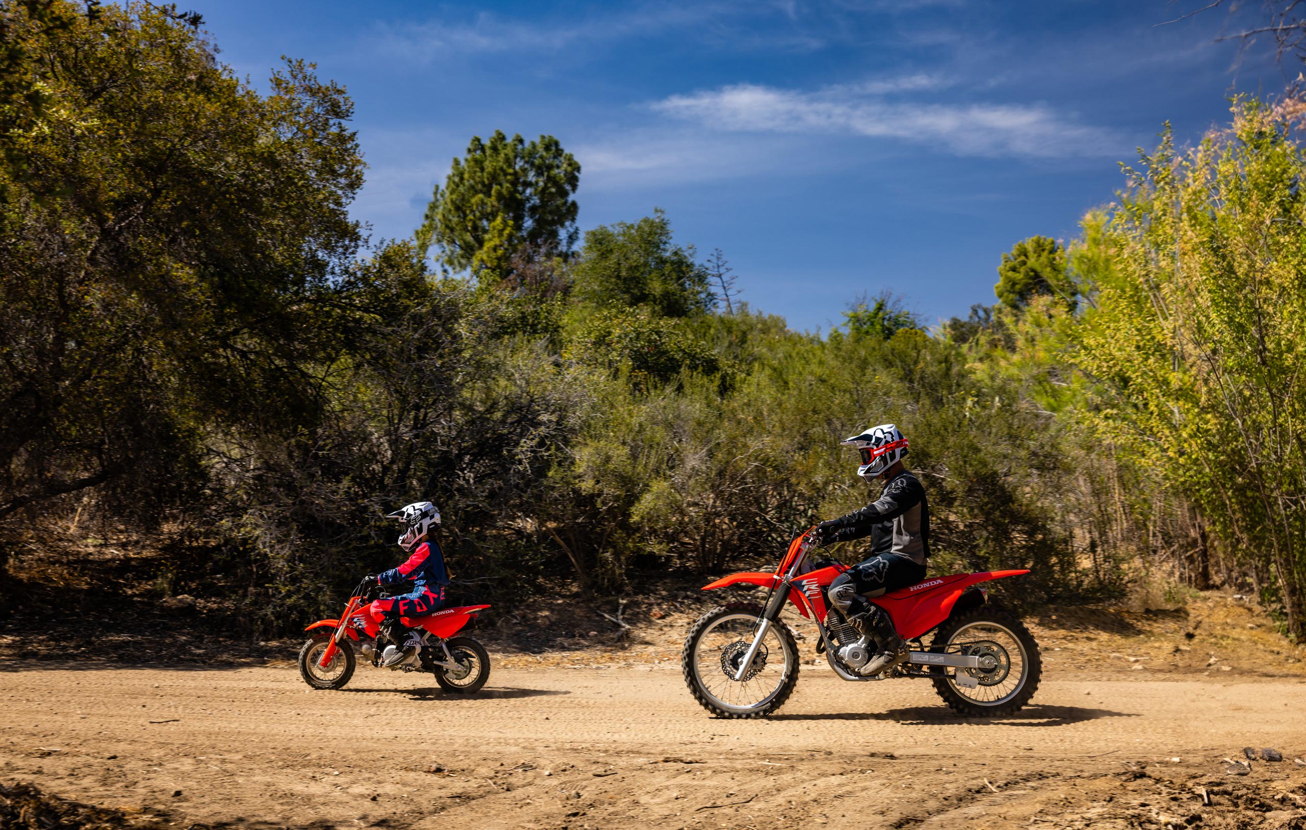 2025-crf50f-gallery-04