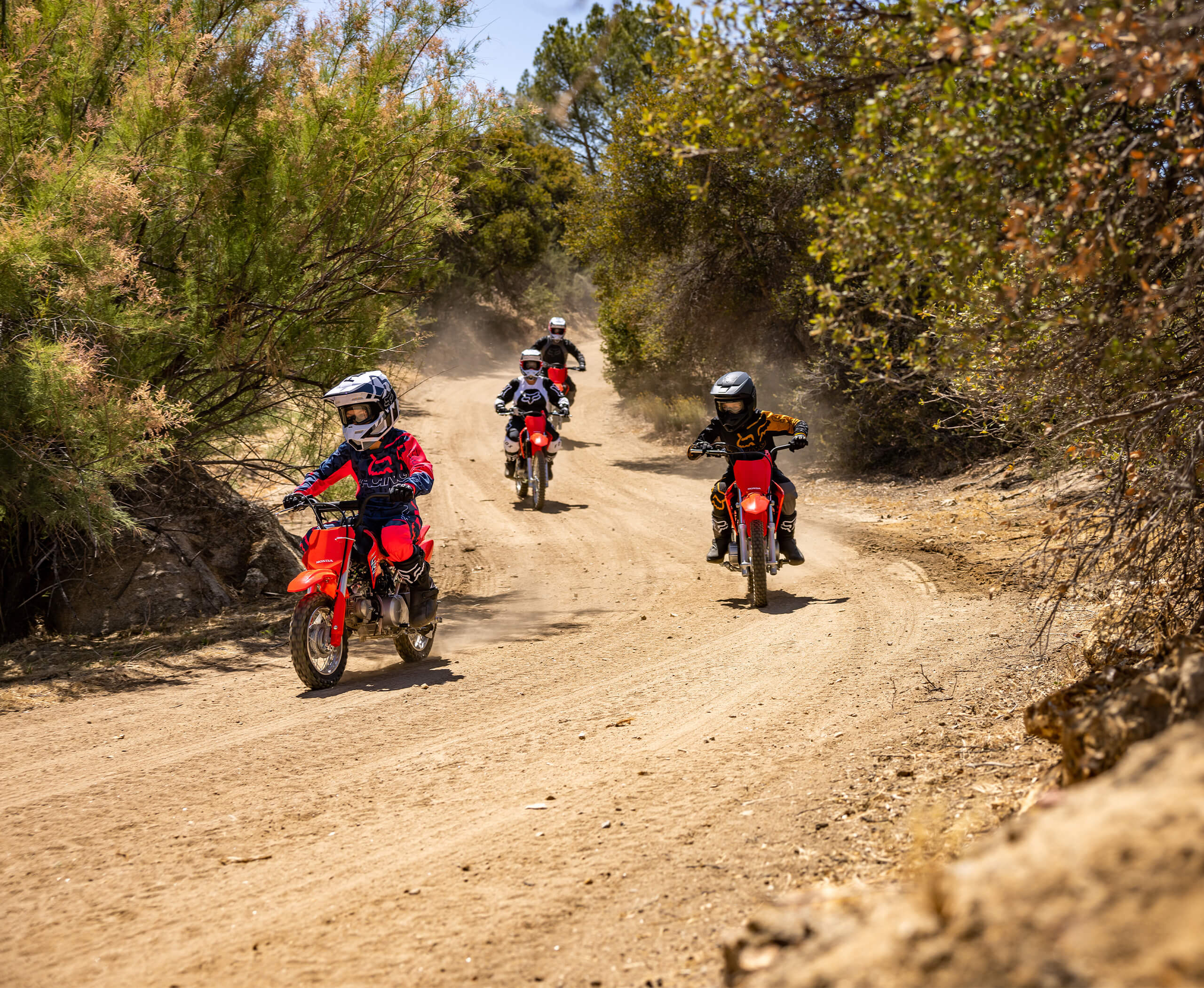 2026-CRF50F-gallery-05