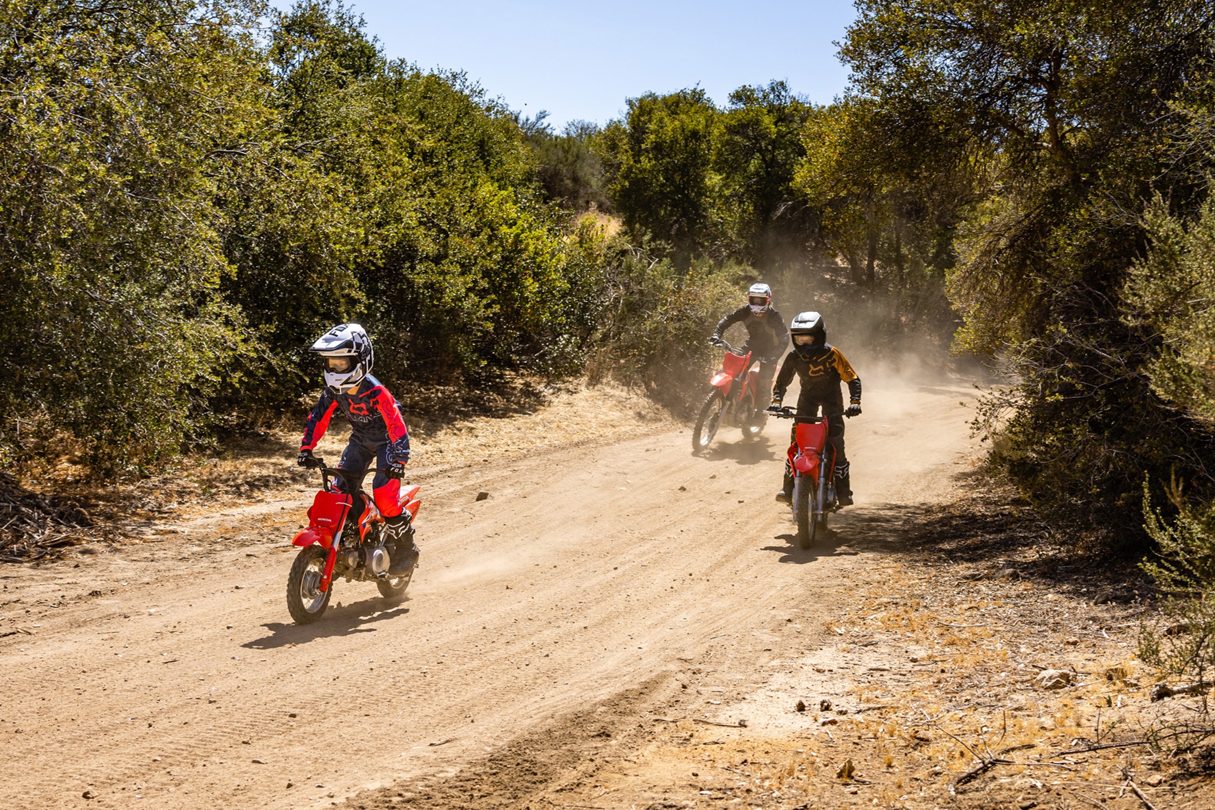 Honda crf50f store dirt bike
